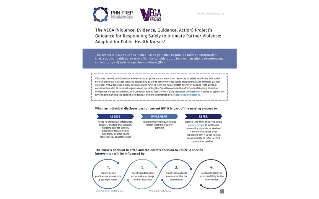 The VEGA (Violence, Evidence, Guidance, Action) Project’s Guidance for Responding Safely to Intimate Partner Violence: Adapted for Public Health Nurses